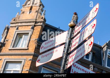 Maastricht, Niederlande - 16. Oktober 2021: Wegweiser in Maastricht, Limburg, Niederlande Stockfoto