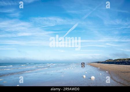 Reiten Sie im Sommer an einem Strand unter einem blauen Himmel mit weißen Wolken Stockfoto