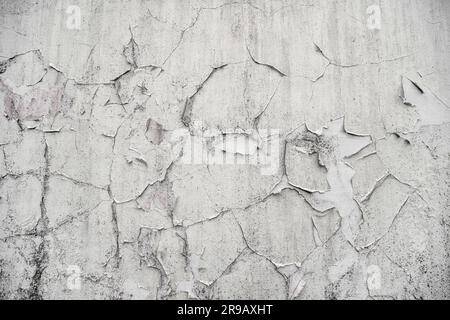 Hintergrund einer alten Wand mit abblätternder Farbe in grauen Farben auf abgenutzten Beton Stockfoto