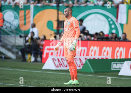 Sao Paulo, Brasilien. 25. Juni 2023. Weverton von Palmeiras, während des Spiels zwischen Palmeiras und Botafogo für die brasilianische Serie A 2023, am 25. Juni im Allianz Parque Stadium in Sao Paulo. Foto: Wanderson Oliveira/DiaEsportivo/Alamy Live News Kredit: DiaEsportivo/Alamy Live News Stockfoto