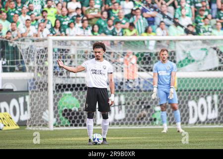 Sao Paulo, Brasilien. 25. Juni 2023. Adryelson von Botafogo, während des Spiels zwischen Palmeiras und Botafogo für die brasilianische Serie A 2023, am 25. Juni im Allianz Parque Stadium in Sao Paulo. Foto: Wanderson Oliveira/DiaEsportivo/Alamy Live News Kredit: DiaEsportivo/Alamy Live News Stockfoto