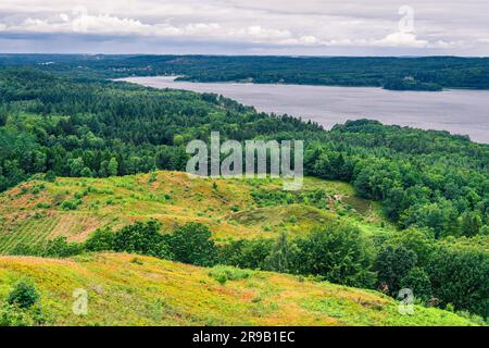 Grüne Landschaft mit See Gudenaaen in Silkeborg, Dänemark Stockfoto