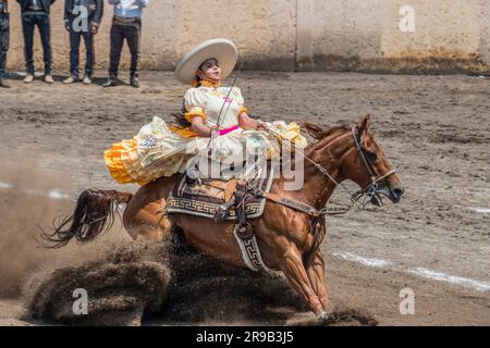 Frauen treten in einer traditionellen Charreria in Mexiko-Stadt, Mexiko, gegeneinander an Stockfoto