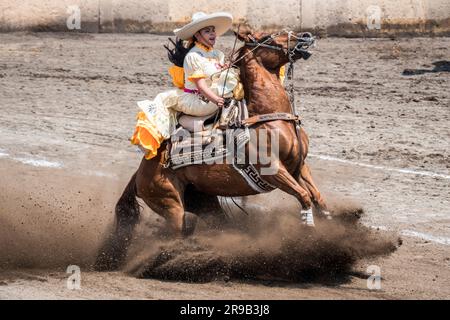 Frauen treten in einer traditionellen Charreria in Mexiko-Stadt, Mexiko, gegeneinander an Stockfoto