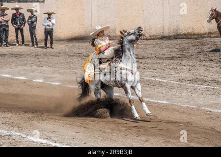 Frauen treten in einer traditionellen Charreria in Mexiko-Stadt, Mexiko, gegeneinander an Stockfoto