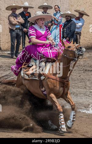 Frauen treten in einer traditionellen Charreria in Mexiko-Stadt, Mexiko, gegeneinander an Stockfoto