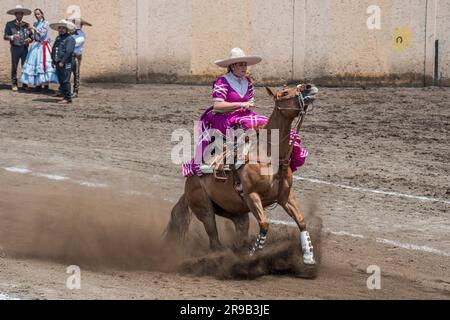 Frauen treten in einer traditionellen Charreria in Mexiko-Stadt, Mexiko, gegeneinander an Stockfoto