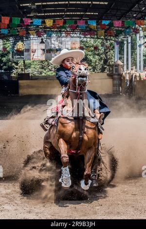 Frauen treten in einer traditionellen Charreria in Mexiko-Stadt, Mexiko, gegeneinander an Stockfoto