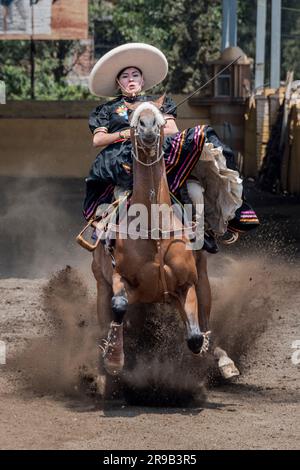 Frauen treten in einer traditionellen Charreria in Mexiko-Stadt, Mexiko, gegeneinander an Stockfoto