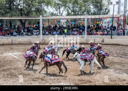Frauen treten in einer traditionellen Charreria in Mexiko-Stadt, Mexiko, gegeneinander an Stockfoto