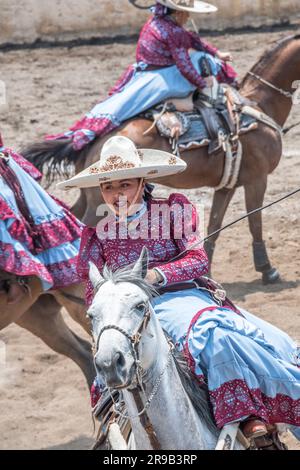 Frauen treten in einer traditionellen Charreria in Mexiko-Stadt, Mexiko, gegeneinander an Stockfoto