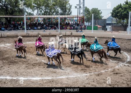 Frauen treten in einer traditionellen Charreria in Mexiko-Stadt, Mexiko, gegeneinander an Stockfoto