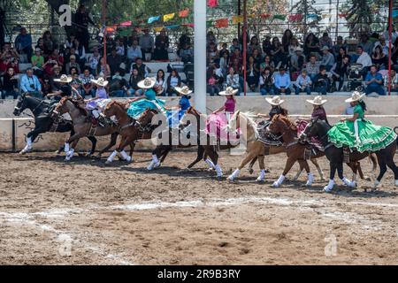 Frauen treten in einer traditionellen Charreria in Mexiko-Stadt, Mexiko, gegeneinander an Stockfoto