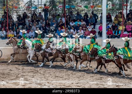 Frauen treten in einer traditionellen Charreria in Mexiko-Stadt, Mexiko, gegeneinander an Stockfoto