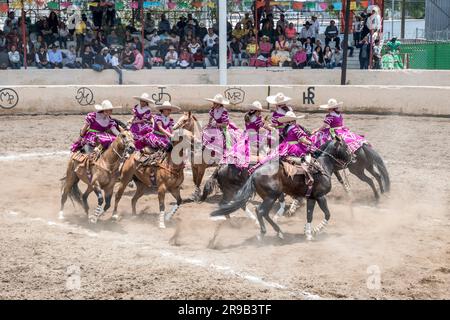 Frauen treten in einer traditionellen Charreria in Mexiko-Stadt, Mexiko, gegeneinander an Stockfoto