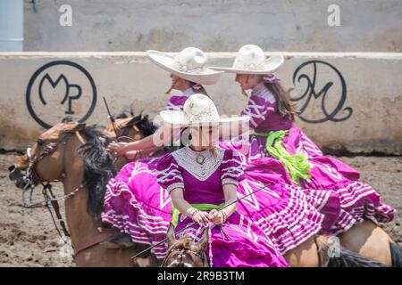 Frauen treten in einer traditionellen Charreria in Mexiko-Stadt, Mexiko, gegeneinander an Stockfoto