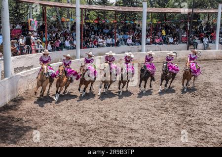 Frauen treten in einer traditionellen Charreria in Mexiko-Stadt, Mexiko, gegeneinander an Stockfoto