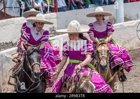 Frauen treten in einer traditionellen Charreria in Mexiko-Stadt, Mexiko, gegeneinander an Stockfoto