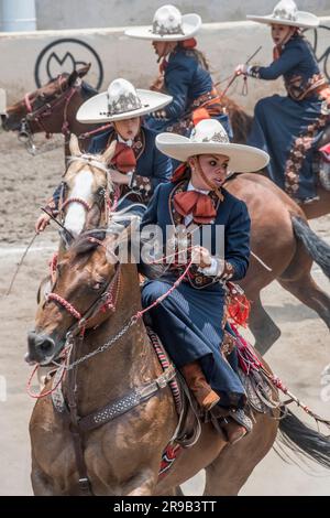 Frauen treten in einer traditionellen Charreria in Mexiko-Stadt, Mexiko, gegeneinander an Stockfoto
