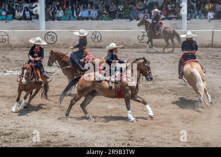 Frauen treten in einer traditionellen Charreria in Mexiko-Stadt, Mexiko, gegeneinander an Stockfoto