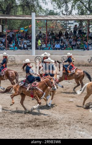 Frauen treten in einer traditionellen Charreria in Mexiko-Stadt, Mexiko, gegeneinander an Stockfoto