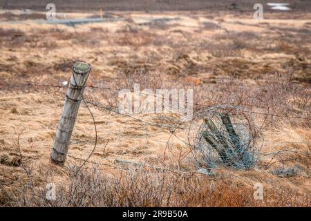 Zaun mit Stacheldraht auf einem Feld im Herbst Stockfoto