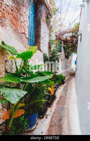 Anafiotika ist ein malerisches kleines Viertel von Athen, Teil des alten historischen Viertels Plaka. Stockfoto