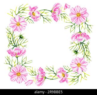 Kranz von Kosmosblüten isoliert auf weißem Hintergrund. Handgezeichnete Aquarelle blühen. Quadratischer Blumenkranz für Verpackungsdesign, Hintergründe, Etiketten, Stockfoto