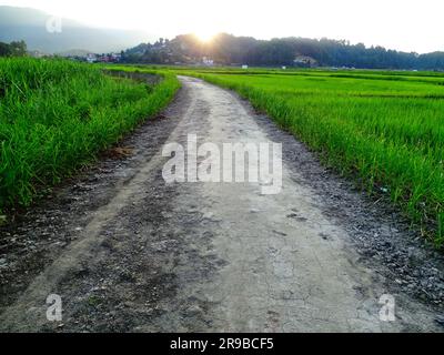 Ein Blick auf eine gewundene unbefestigte Straße, umgeben von üppigen grünen Feldern mit majestätischen Bergen im Hintergrund, beleuchtet vom ersten Licht des Tages Stockfoto