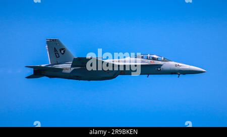 Die unglaubliche Hornet! Stockfoto