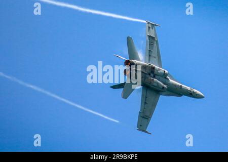 Die unglaubliche Hornet! Stockfoto