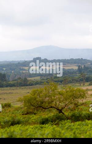 Mont Saint-Michel de Brasparts und seine Gipfelkapelle verrauchten am 3. Tag der Brände, die den Monts d'Arrée in Finistère, Bretagne heimsuchten. Stockfoto