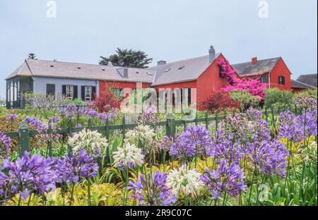 Das von Frankreich gepflegte Longwood House auf St. Helena Island war Napoleons Residenz für die letzten sechs Jahre seines Lebens und der Ort, an dem er Di Stockfoto