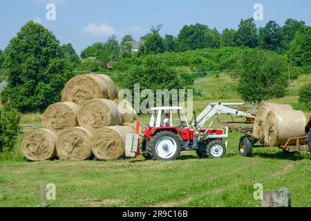 der traktor steyr 650 wird zum Stapeln runder Heuballen verwendet, die nach der Ernte im ungarischen Bezirk zala vom Anhänger entladen wurden Stockfoto