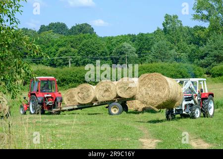 der traktor steyr 650 wird zum Stapeln runder Heuballen verwendet, die nach der Ernte im ungarischen Bezirk zala vom Anhänger entladen wurden Stockfoto