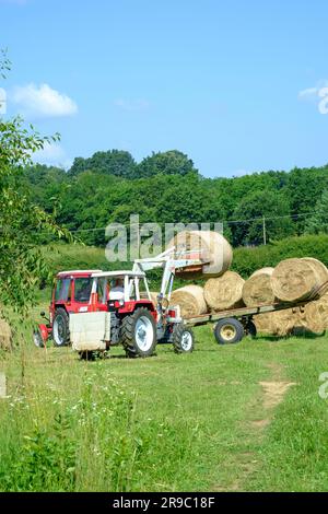 der traktor steyr 650 wird zum Stapeln runder Heuballen verwendet, die nach der Ernte im ungarischen Bezirk zala vom Anhänger entladen wurden Stockfoto