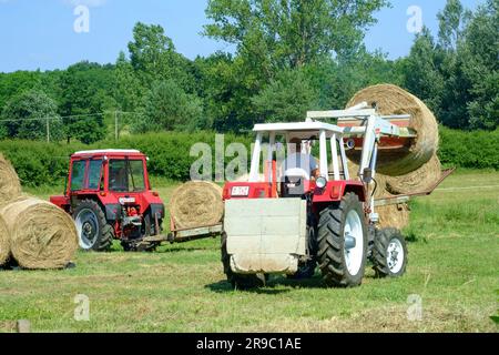 der traktor steyr 650 wird zum Stapeln runder Heuballen verwendet, die nach der Ernte im ungarischen Bezirk zala vom Anhänger entladen wurden Stockfoto