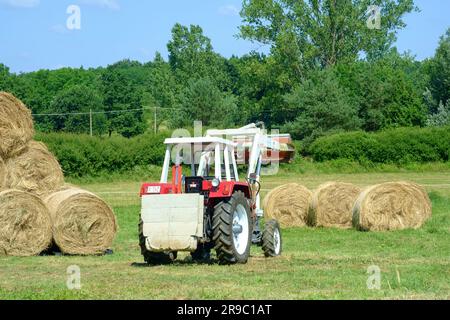 der traktor steyr 650 wird nach der Ernte im ungarischen Bezirk zala zum Stapeln runder Heuballen verwendet Stockfoto