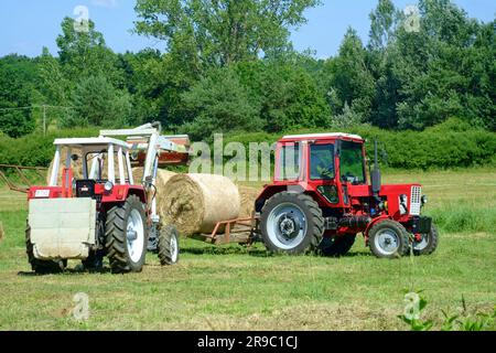 der traktor steyr 650 wird nach der Ernte im ungarischen Bezirk zala zum Stapeln runder Heuballen verwendet Stockfoto