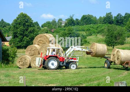 der traktor steyr 650 wird zum Stapeln runder Heuballen verwendet, die nach der Ernte im ungarischen Bezirk zala vom Anhänger entladen wurden Stockfoto