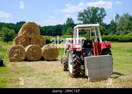 der traktor steyr 650 wird nach der Ernte im ungarischen Bezirk zala zum Stapeln runder Heuballen verwendet Stockfoto