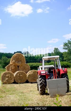 der traktor steyr 650 wird nach der Ernte im ungarischen Bezirk zala zum Stapeln runder Heuballen verwendet Stockfoto