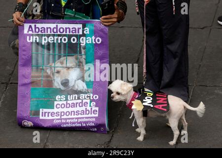 Nicht exklusiv: 25. Juni 2023, Mexiko-Stadt, Mexiko: Tausende von Menschen haben am Bürgermarsch für Tierrechte teilgenommen, um Gesetze zu fordern Stockfoto