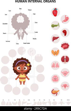 Anatomie des menschlichen Körpers. Infografiken mit süßem schwarzem ethnischen Mädchen. Sehschema weiblicher Organe Cartoon-Figuren, Namen und Orte. Vektor Stock Vektor