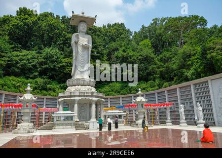 Seoul, Südkorea - 24. Juni 2023: Die große Statue des Maitreya Buddha im Bongeunsa-Tempel in Seoul, Südkorea. Stockfoto