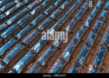 Luftaufnahme von Plastikdeckentunnelanlagen auf Wassermelonenplantagen aus der Drohne pov, aus dem großen Winkel Stockfoto