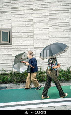 Japan/Akashi/Präfektur Hyogo/zwei Frauen mit Schirm auf der Straße. Stockfoto