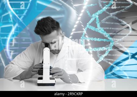 Gentests. Doppelbelichtung von Laborarbeitern mit dem Mikroskop am Tisch und Darstellung der DNA-Struktur Stockfoto