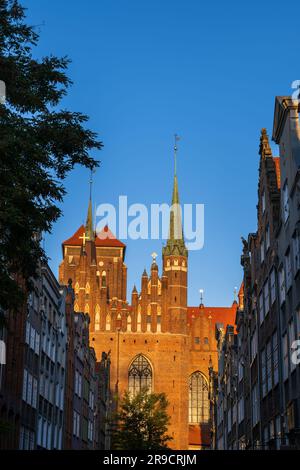 Basilika der Heiligen Maria von der Mariacka-Straße bei Sonnenaufgang in Danzig in Polen. Gotische Kirche St. Mary in der Altstadt sonnte sich am Morgen, E Stockfoto