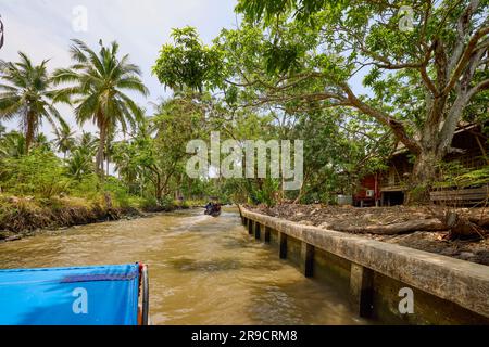 Damnoen Saduak - Thailand 23. Mai 2023. Auf den Kanälen des schwimmenden Marktes Damnoen Saduak mit dem Boot. Stockfoto